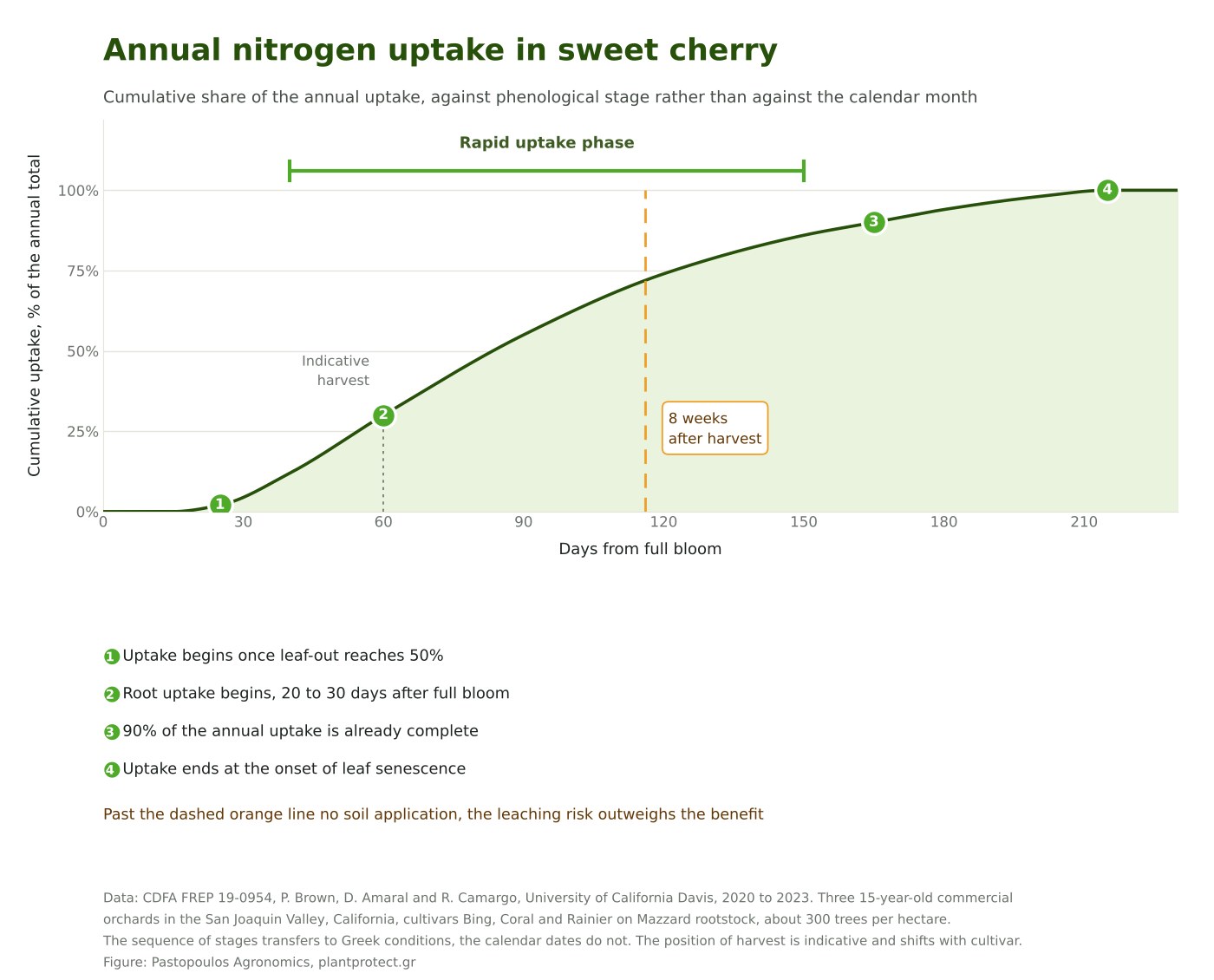Diagram of cumulative annual nitrogen uptake in sweet cherry against days from full bloom, with four milestones and the eight weeks after harvest limit marked