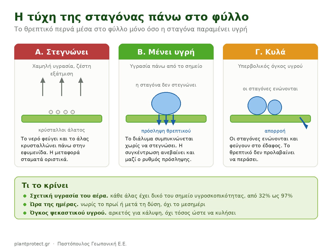 Διαφυλλικοί ψεκασμοί: η ώρα της ημέρας, οι αντιδράσεις στο βυτίο και η σειρά ανάμειξης