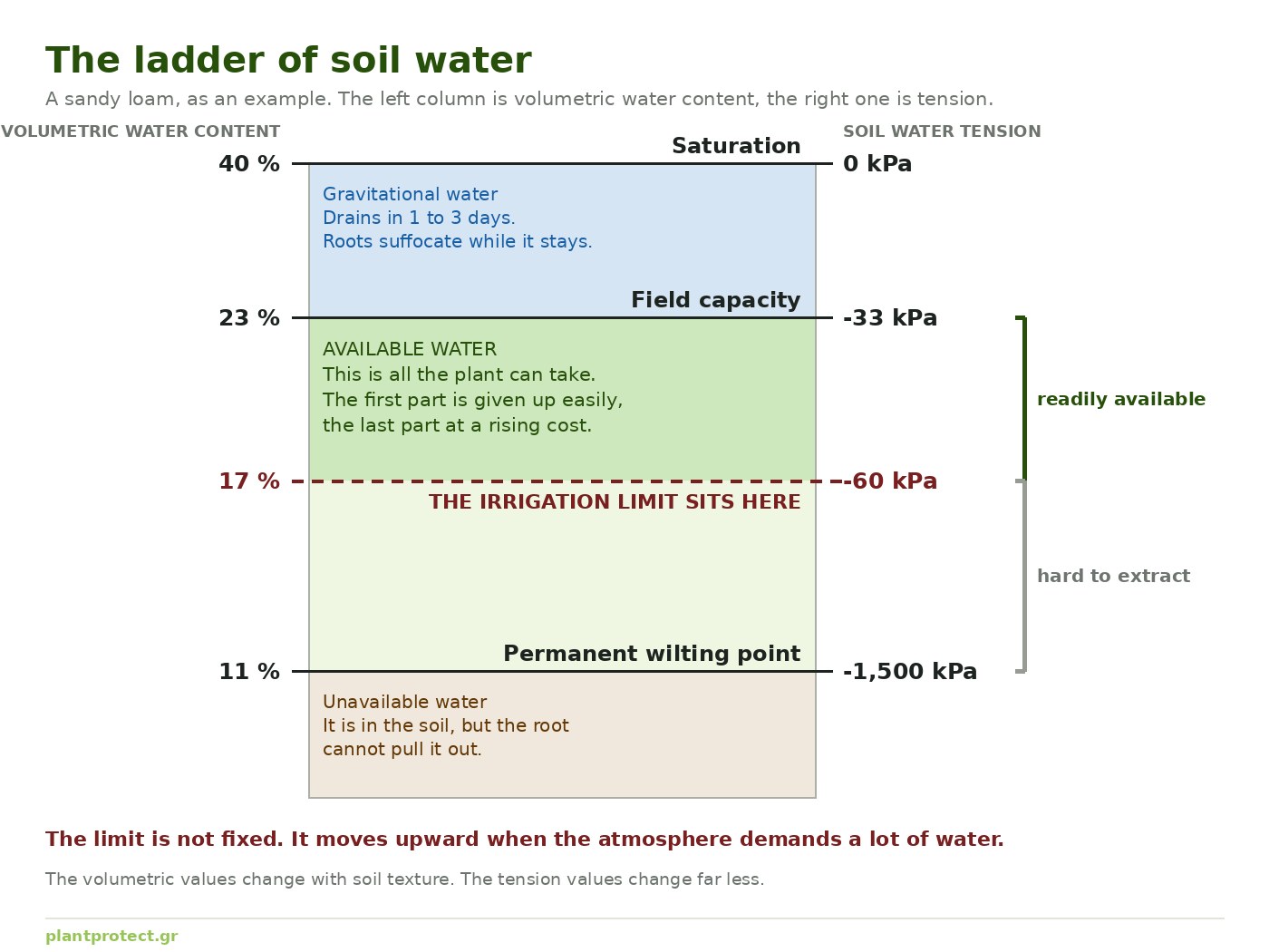 Soil moisture: what the station shows, when the field needs irrigating, and how it binds to evapotranspiration and VPD