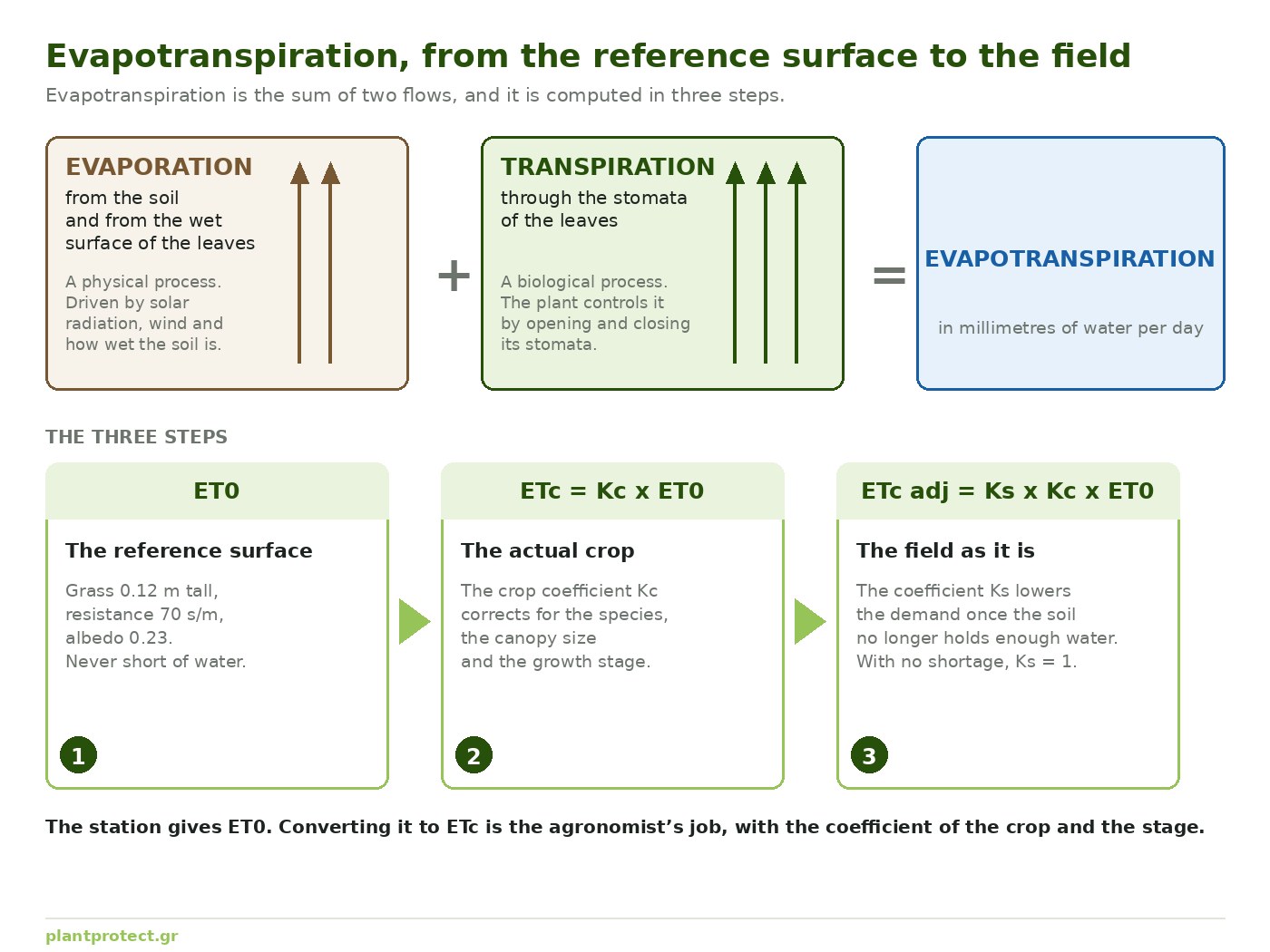 Diagram showing evapotranspiration as the sum of evaporation and transpiration, and the three steps from ET0 to ETc adj