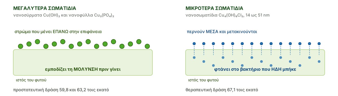 Το μέγεθος του σωματιδίου καθορίζει αν η δράση είναι προστατευτική ή θεραπευτική
